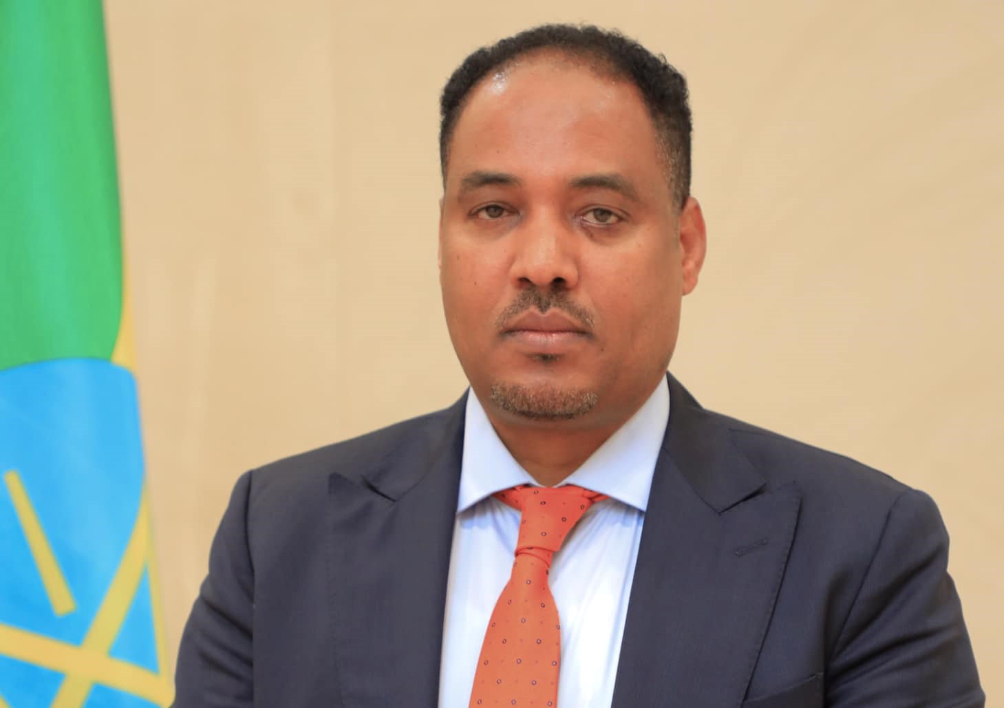 PM Abiy Ahmed appoints Mesganu Arga as State Minister of MFA Ethiopia ...
