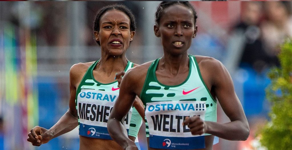 Diribe Welteji Freweyni Hailu to clash in Torun 1500m next month